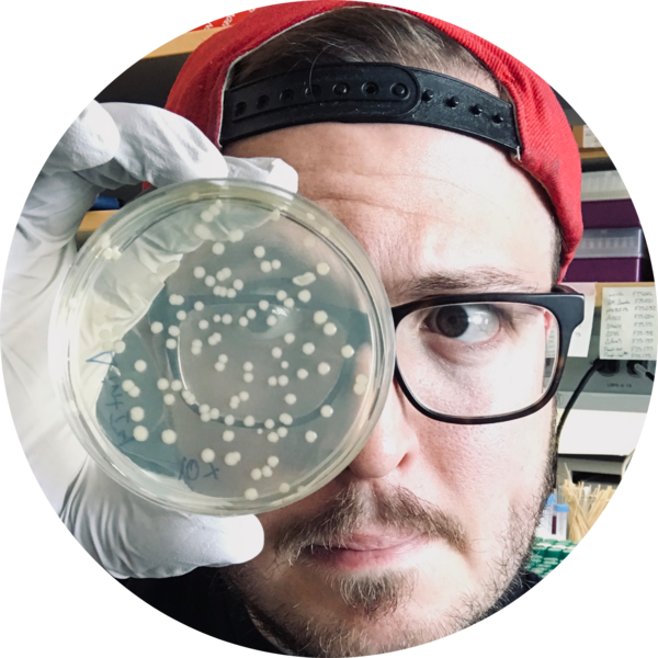 Go to the profile of Frank Santoriello