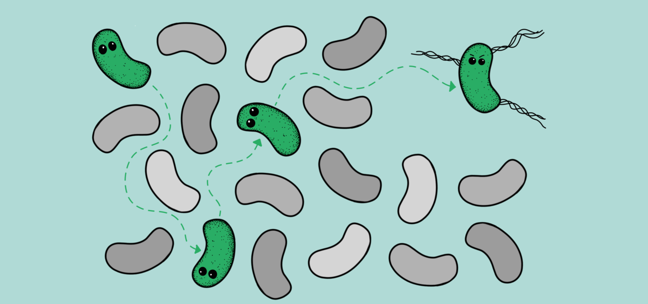 How a pandemic pickpockets a prophage