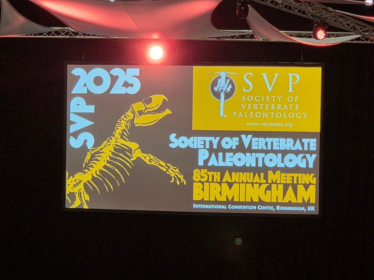 Highlights from the 2025 Society of Vertebrate Paleontology Annual Meeting