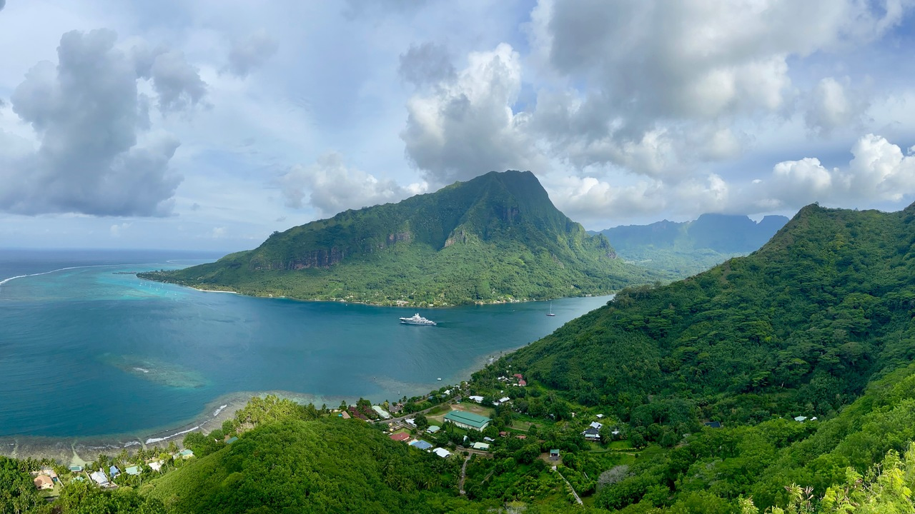 Singing in secret: Crickets that purr are protected from a deadly natural enemy