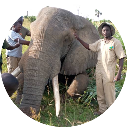 Go to the profile of DR WATUWA JAMES