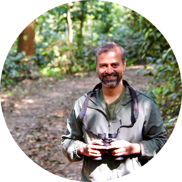 Go to the profile of Rushikesh Chavan