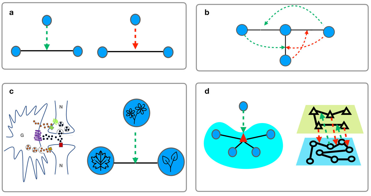 Higher-order triadic interactions reveal the dynamical nature of percolation