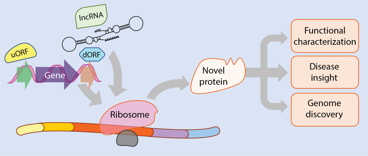 The dark genome: new sources of cancer proteins?