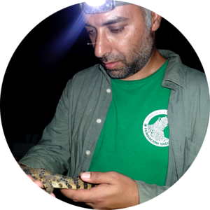 Go to the profile of Nuno Negrões