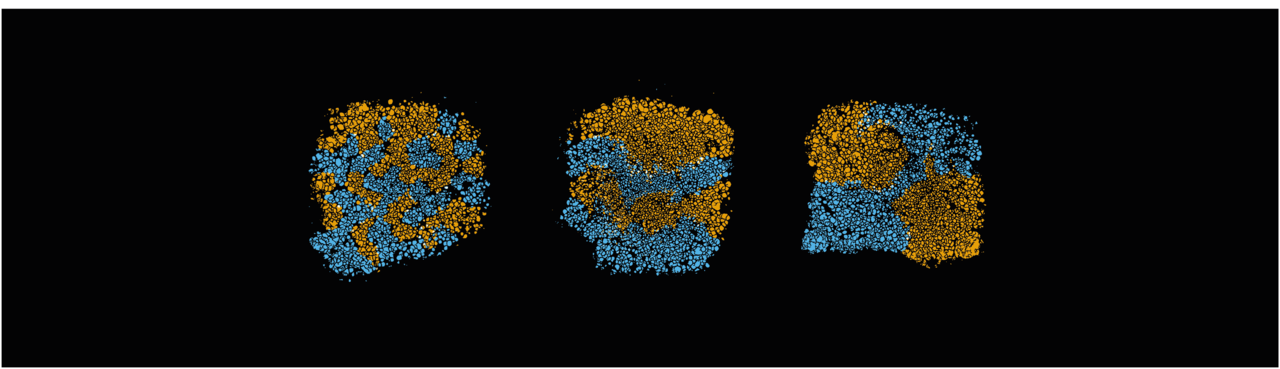 3D printing tiny bacterial communities