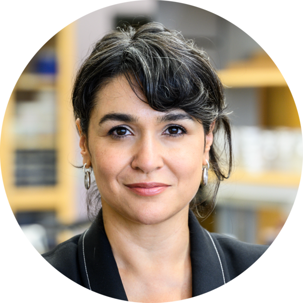 Go to the profile of Betül Kaçar