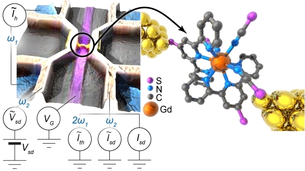 Complete mapping of the thermoelectric properties of a single molecule