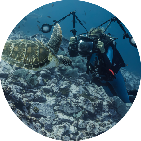 Go to the profile of Sandra Bessudo