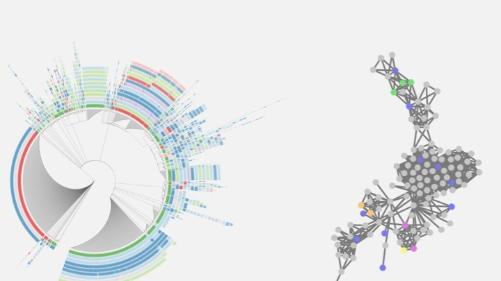 The Origins of Chemical Diversity in Polyketides produced by Trans-Acyltransferase Polyketide Synthases