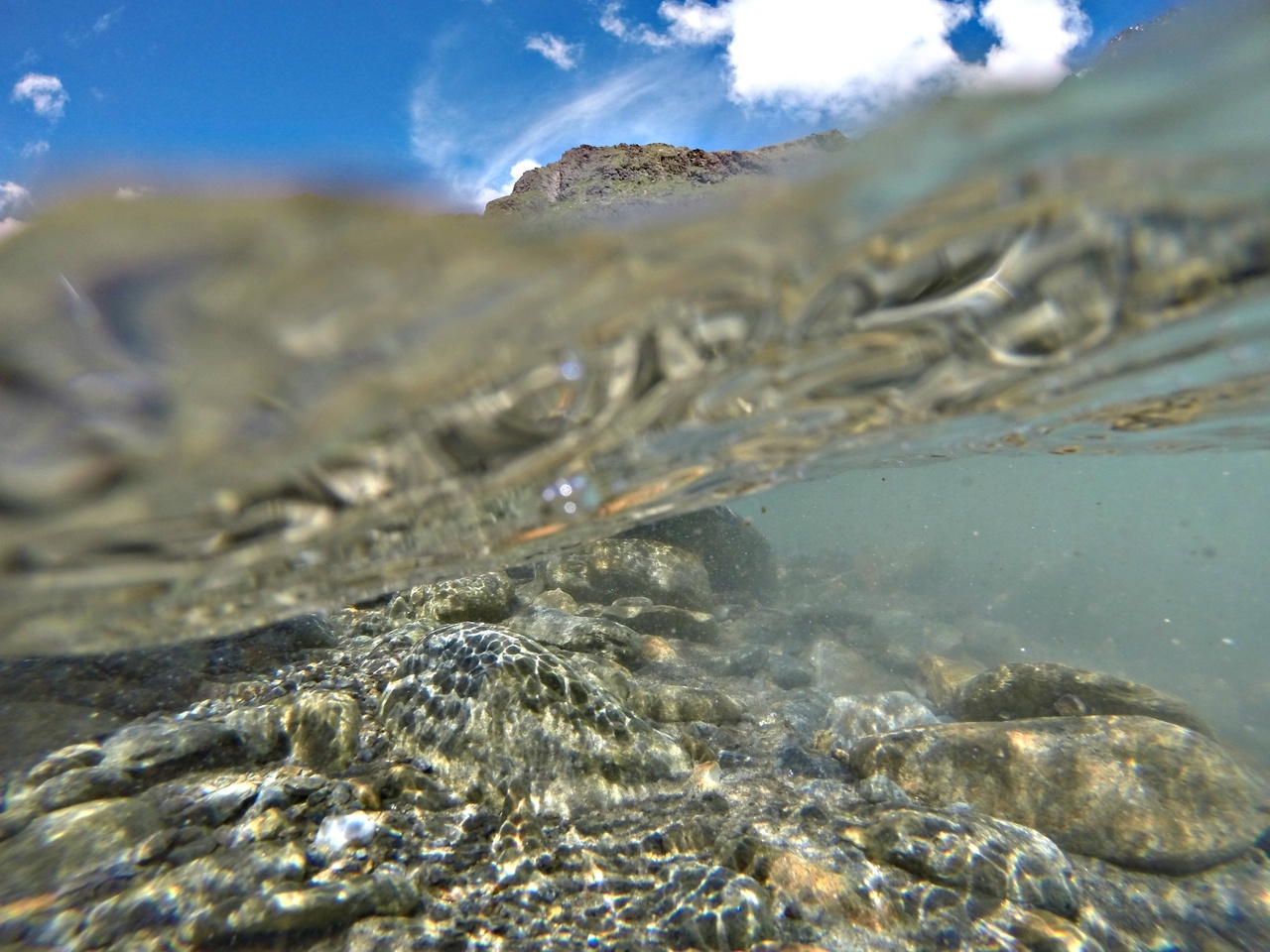 Aquatic macroinvertebrates as indicators of stream health after construction of a small hydropower plant