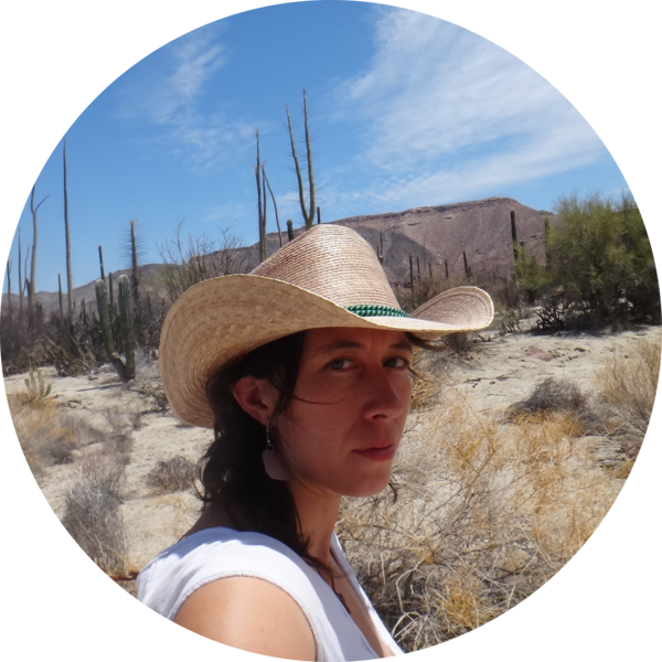 Go to the profile of Michelle María Early Capistrán