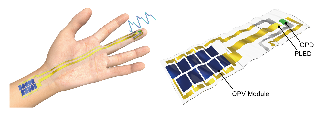 Ultraflexible, Self-powered Optoelectric Sensors: Boundaryless Engineering of Wearable Electronics.