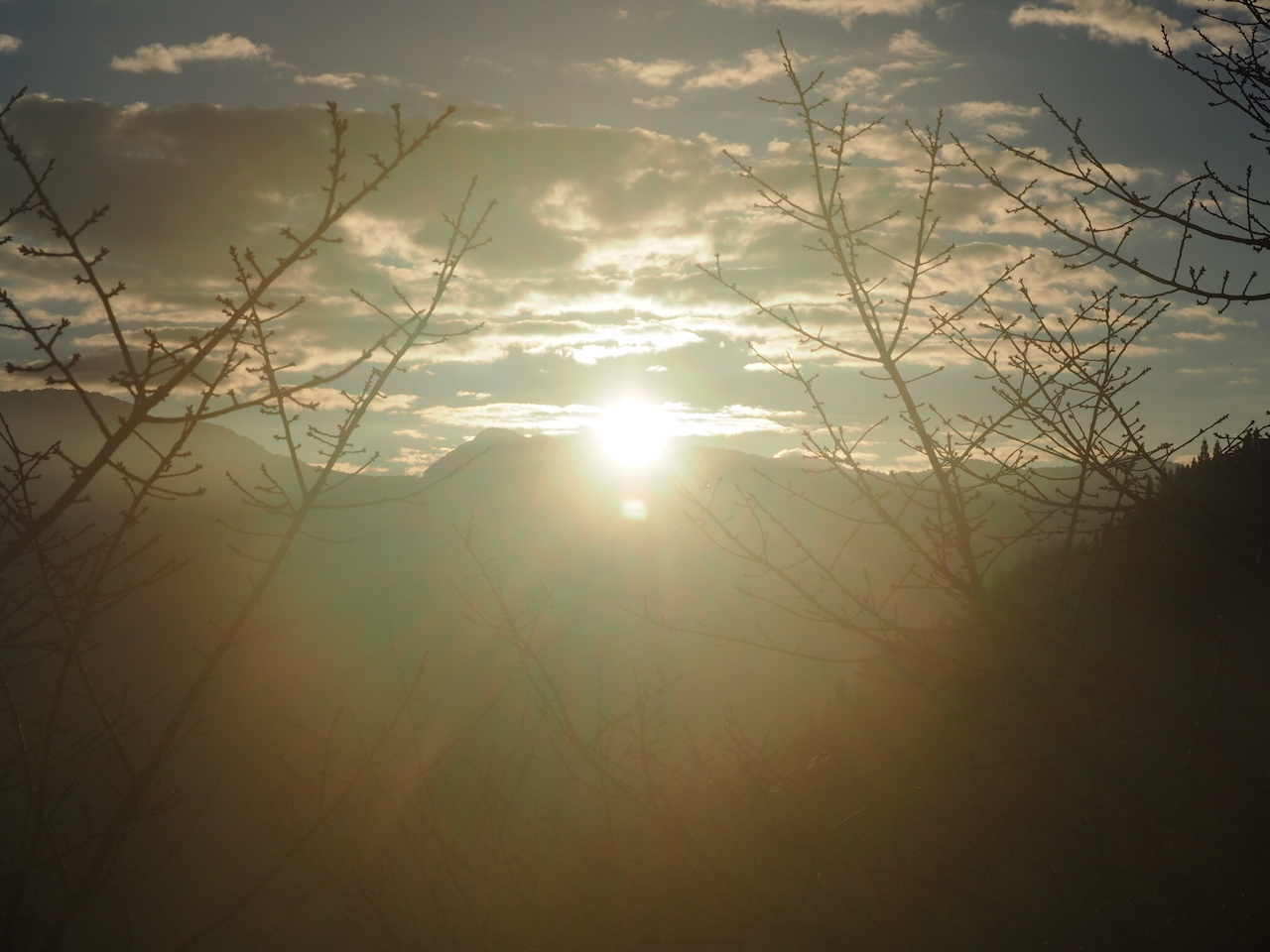 Shedding new light on vitamin D3 and microbiota in food allergy