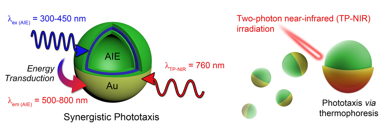 Photoactivated Nanomotors via Aggregation Induced Emission for Enhanced Phototherapy