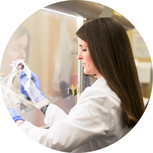 Go to the profile of Anna M. Eiring