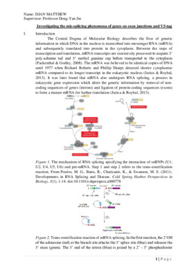 Laidlaw Research Report