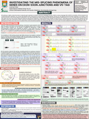 Laidlaw Research Poster