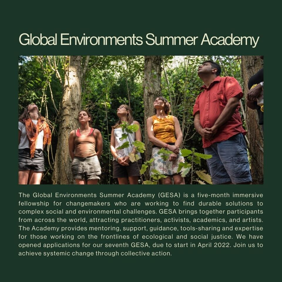 Last few spots remaining for the Global Environments Summer Academy 2022