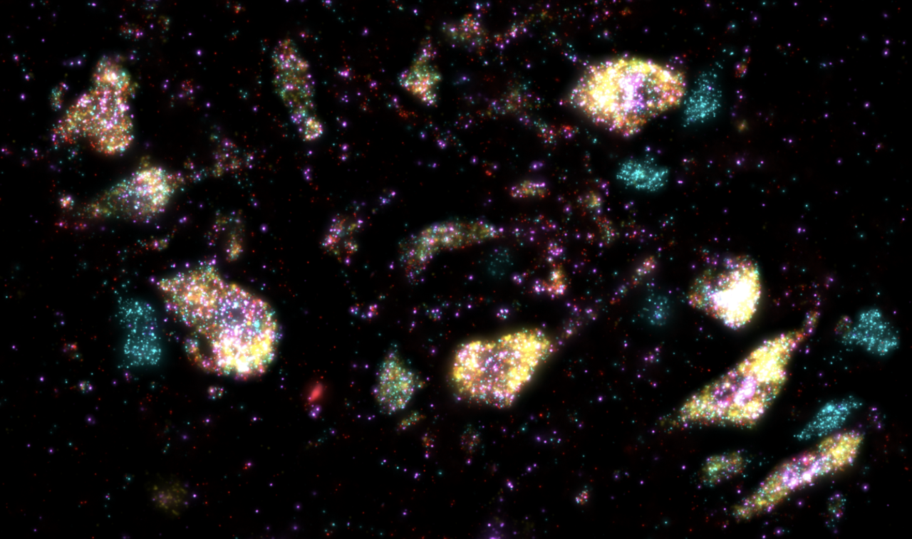 Spinal motor neuron diversity: a story of sequencing, serendipity, and synergy