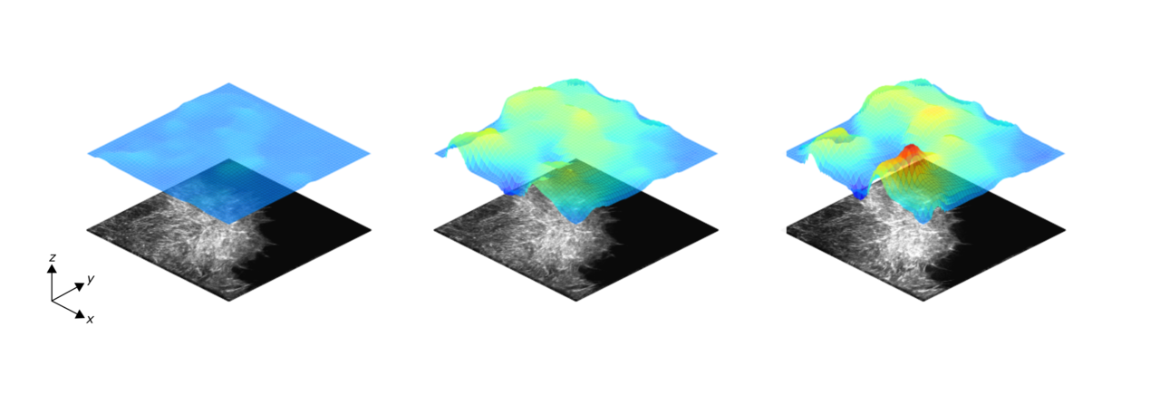 Quantifying nano-scale cellular force generation