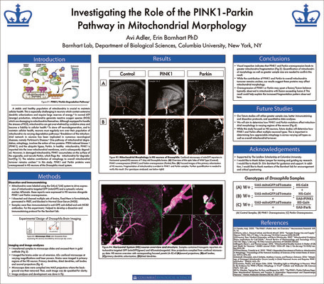  2021 Columbia Research Symposium