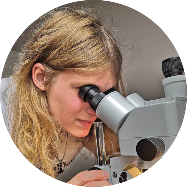 Go to the profile of Erik Tihelka