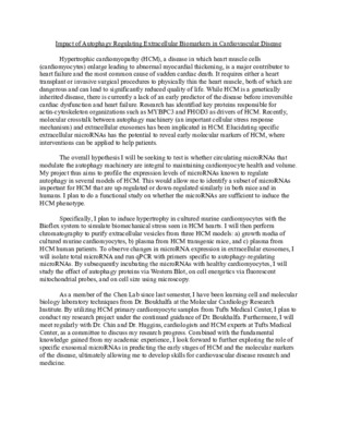 Preliminary Research Proposal