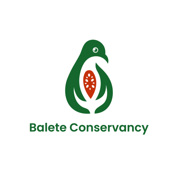 Go to the profile of Ivan Sarenas