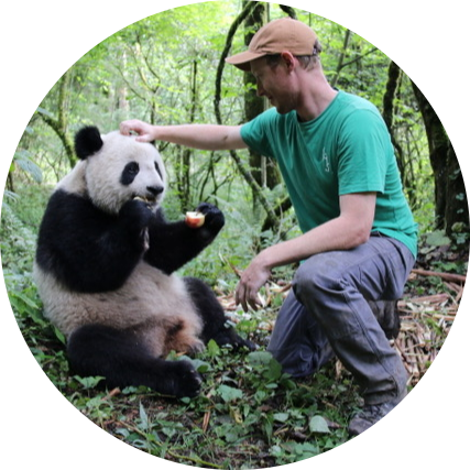 Go to the profile of Patrick Joseph McLaughlin