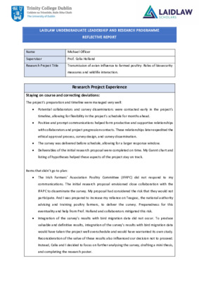 Reflective Report - Summer 2021