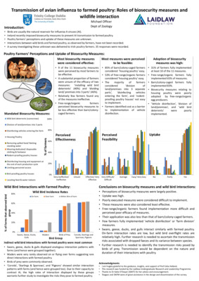Research Poster - Summer 2021