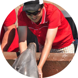 Go to the profile of Nyein Zaw Ko