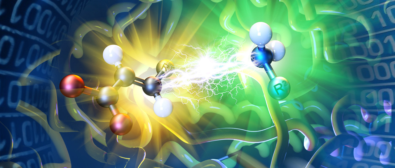 Development of a versatile and efficient C-N lyase platform for asymmetric hydroamination via computational enzyme redesign