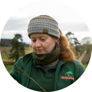 Go to the profile of Charly Mead