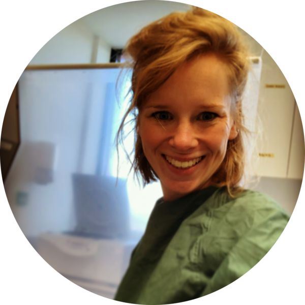 Go to the profile of Inge