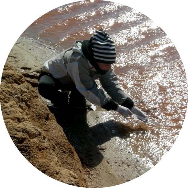 Go to the profile of Ramona Marasco