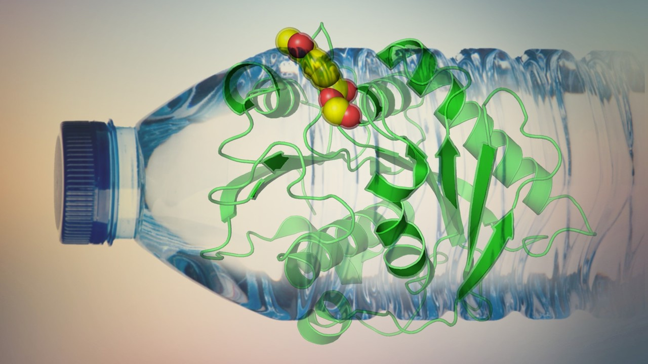 A Simple Strategy to Create PET Hydrolase from Natural Cutinase