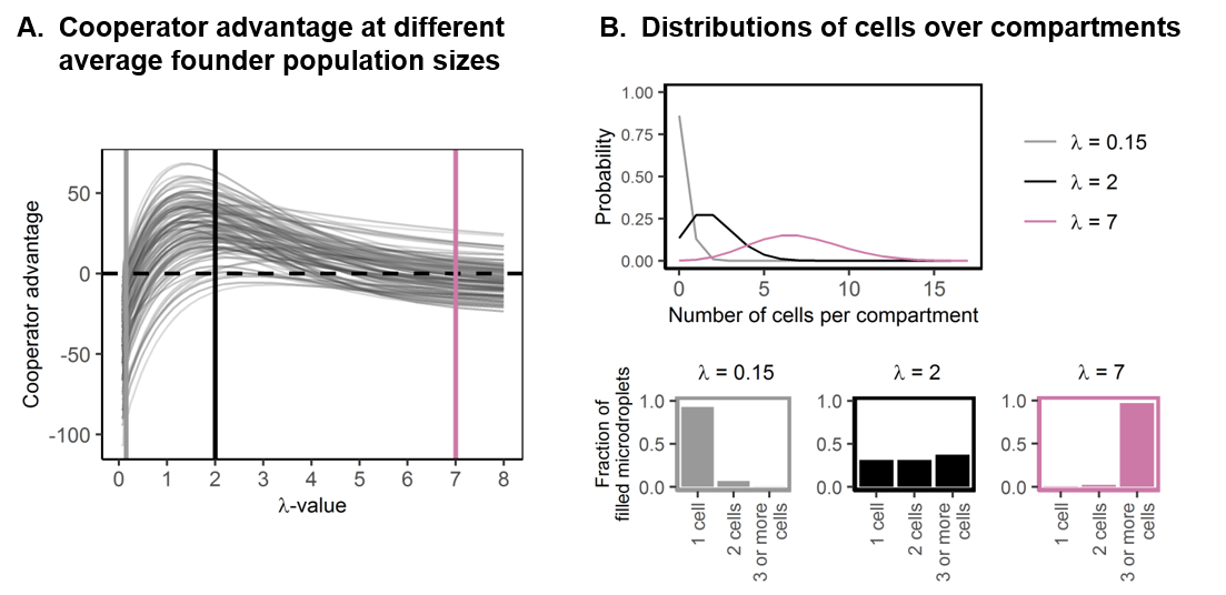 Population dynamics of microbial cross-feeding: A journey between the computer and the lab
