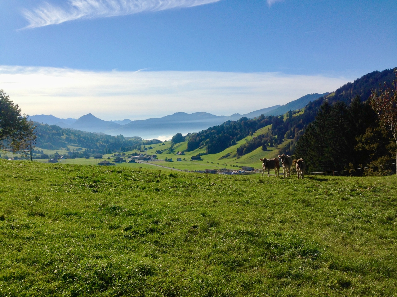 From air pollution to your plate: declining atmospheric nutrient inputs to agricultural soils