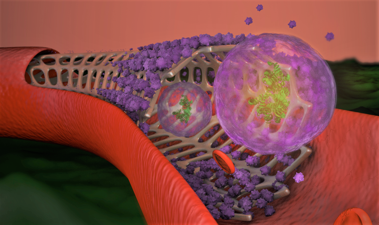 Exosome-eluting stent: a new biologic-device combination 