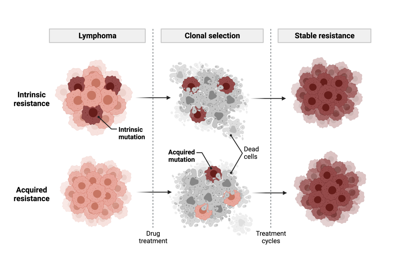 Treatment resistance in diffuse large B-cell lymphoma: where, what and how