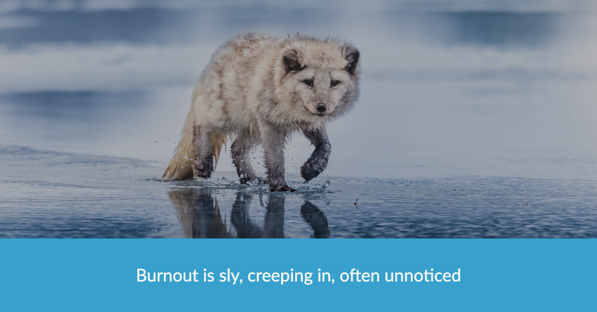Burnout  - the signs and how to avoid it