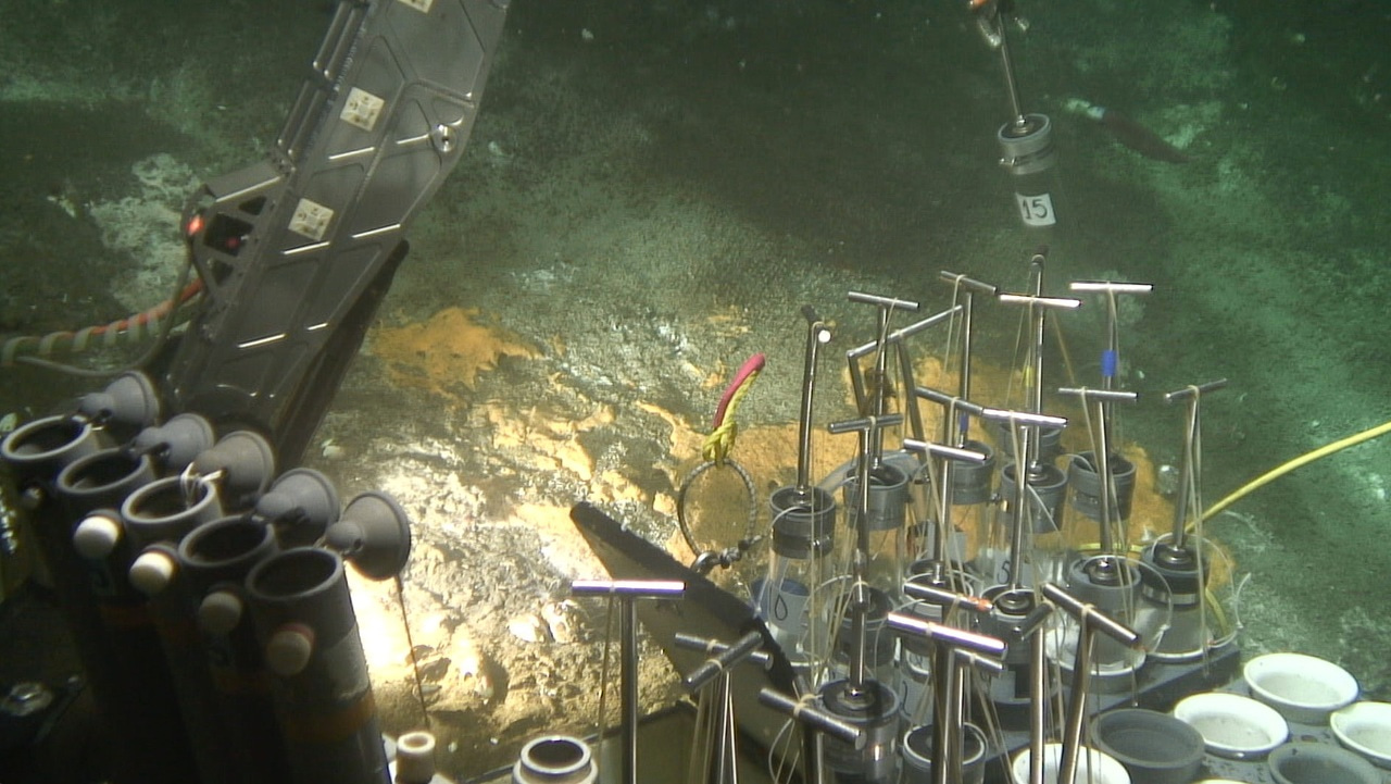 Heat-loving microbes recycle organic carbon in the seafloor