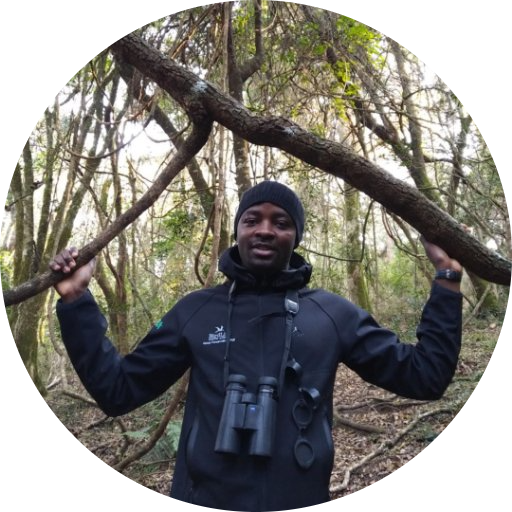 Go to the profile of Bezeng Simeon