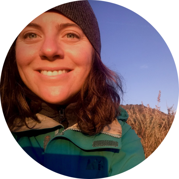 Go to the profile of Lauren Carley