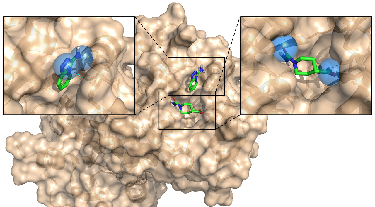 SpotXplorer fragments find the hotspots on current and emerging drug targets