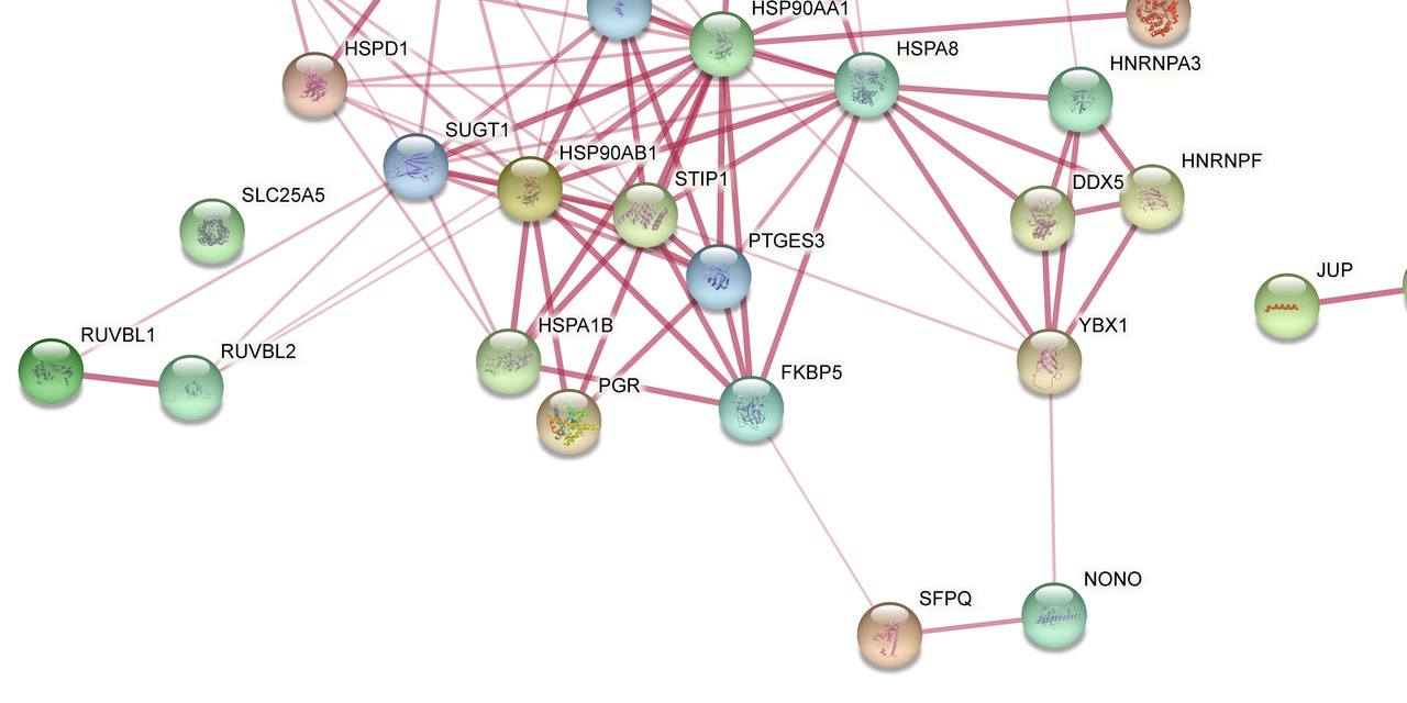 Triple SILAC identified progestin-independent and dependent PRA and PRB interacting partners in breast cancer