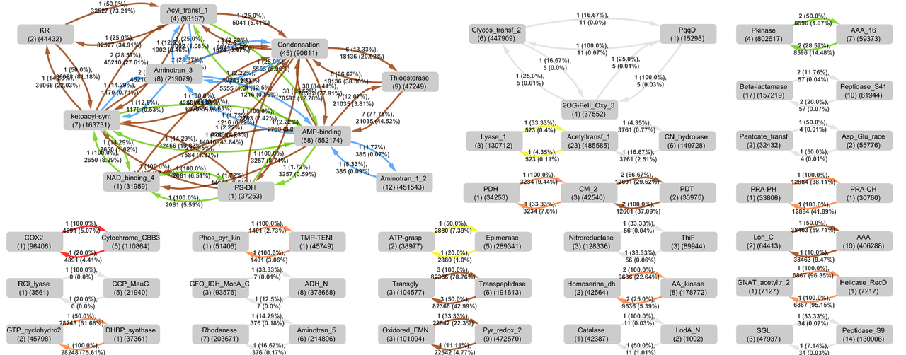 What can enzymes teach us about working together?