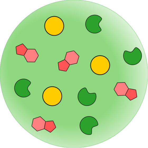 Go to the profile of Karina Nakashima